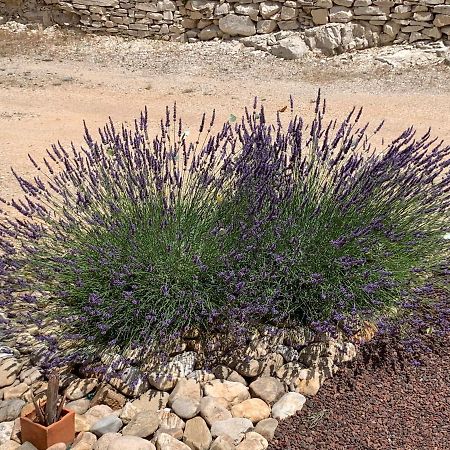 Au Fil Des Cevennes Acomodação com café da manhã Saint-Jean-de-Maruéjols-et-Avéjan Exterior foto