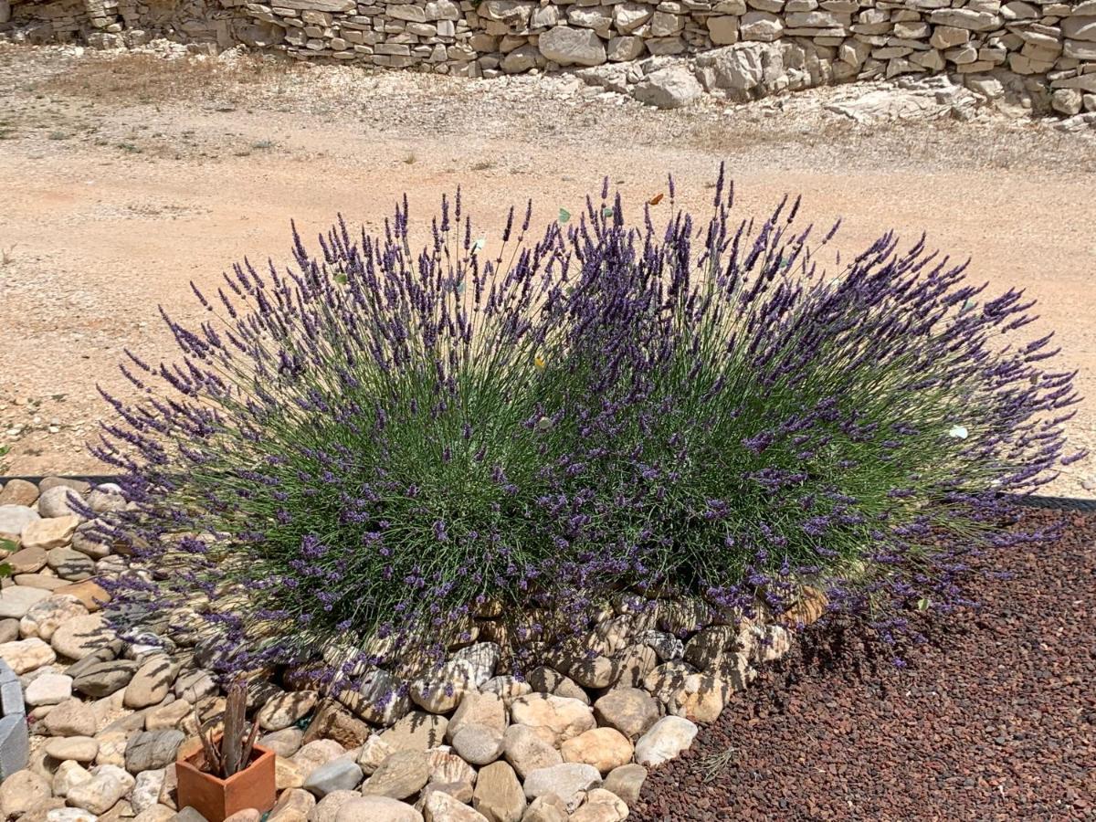 Au Fil Des Cevennes Acomodação com café da manhã Saint-Jean-de-Maruéjols-et-Avéjan Exterior foto